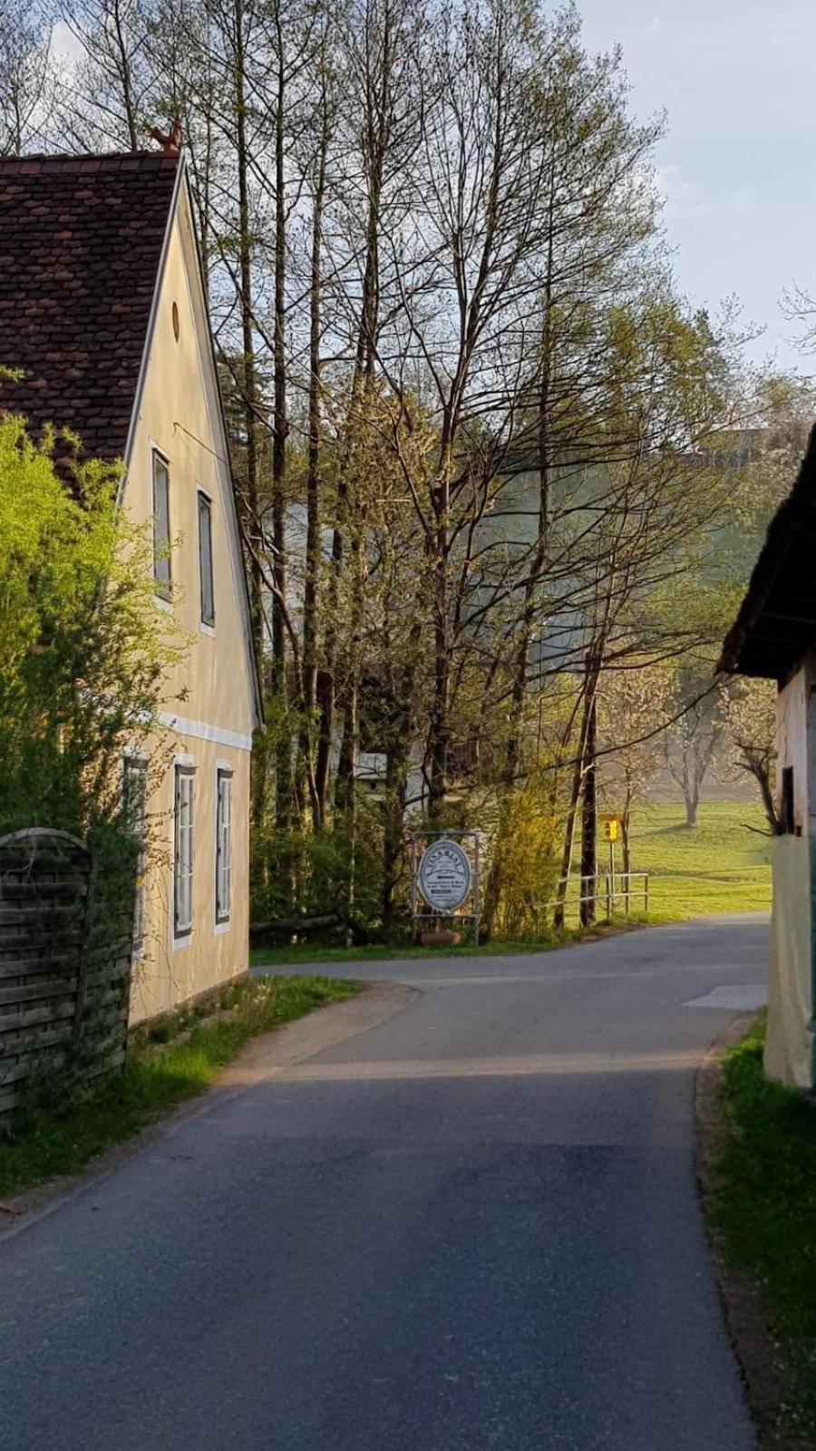 Presshaus Alte Muehle Villa ชไตนซ์ ภายนอก รูปภาพ