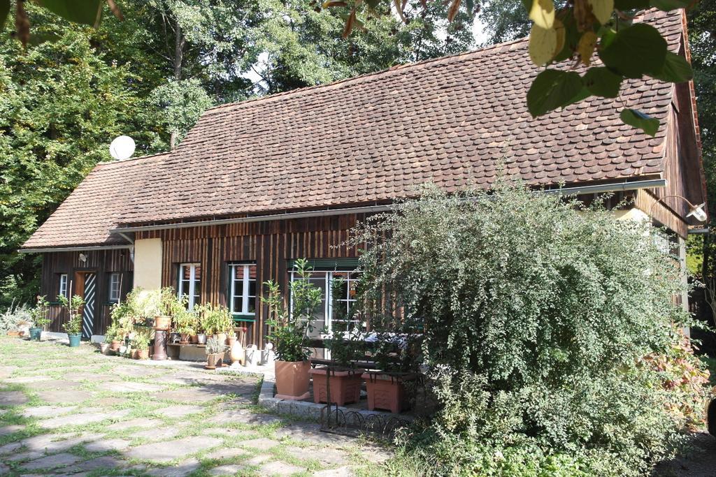 Presshaus Alte Muehle Villa ชไตนซ์ ภายนอก รูปภาพ